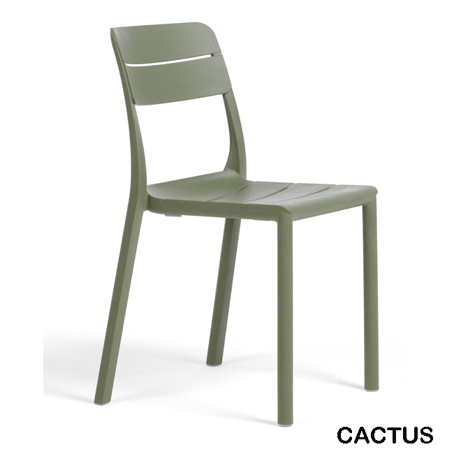 NARDI_CASSIA_BISTRO_CACTUS