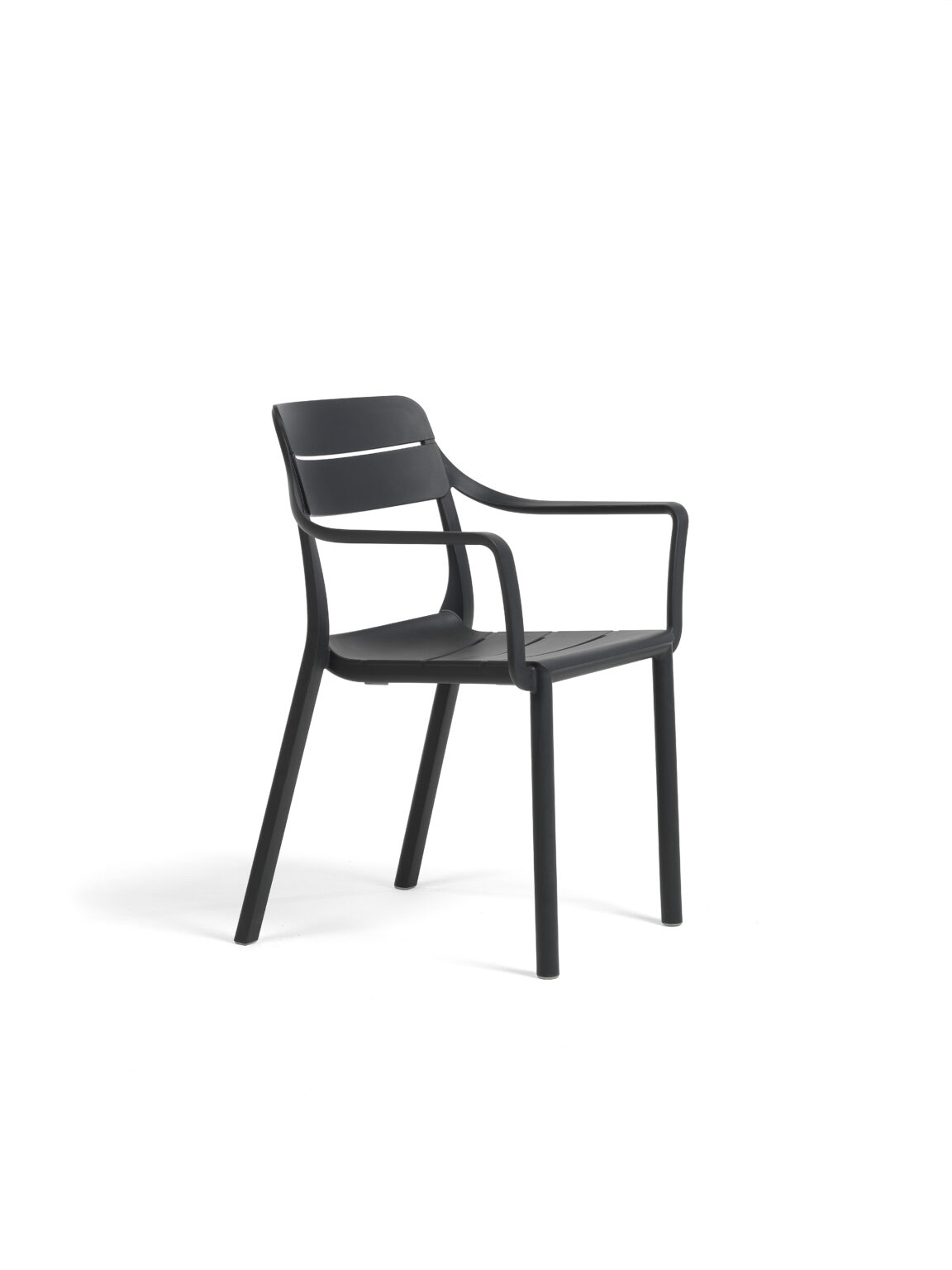 Nardi_CassiaARM_antr