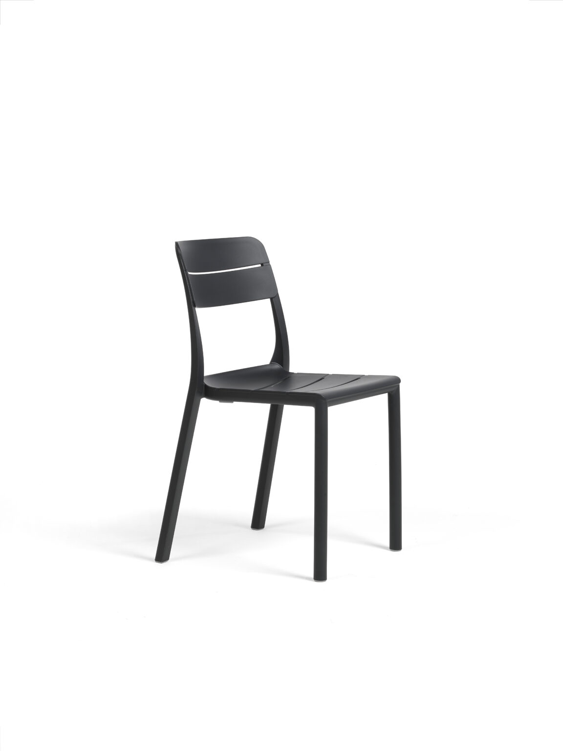 Nardi_CassiaBIS_antr